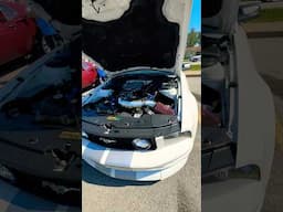 Newer Mustang GT #shorts #mustang