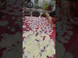 आलू की चिप्स बनाने का सबसे आसान तरीका - Homemade Aloo Chips - Patato Chips #shorts #youtubeshorts