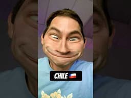 I once went on a trip to Chile 🇨🇱