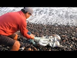 ¡Un mar agitado, pero con un premio enorme! Mira esta pesca increíble