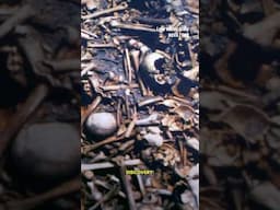 Could this mysterious grave belong to Vikings? #mystery #bones #vikings #archaeology