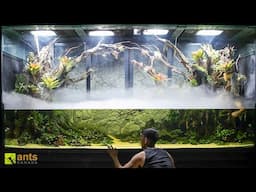 I Unleashed NEW SCHOOLS of FISH Into My Giant Wetlands Vivarium