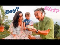 Boy or Girl? Baby #2 Gender Reveal!