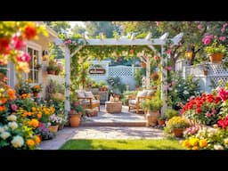 Transform Your Garden With These Simple Beginner Decoration Tips