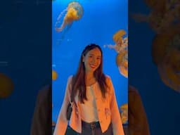 forever a lover of beautiful creatures 🐠🐡🎏 #shorts #canadadiaries #aquarium #vancouver #travel