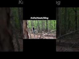 #knifethrowing #sogfasthawk #slingshot
