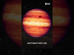 This starless super-Jupiter is just 20 light-years away! 👋