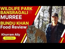 Wild Life Park Bansra Gali, Murree | Lunch At Bundu Khan | Siberian Tiger