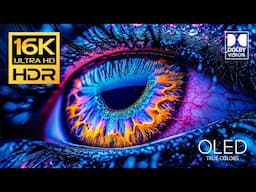 Explosive Colors 💥16K HDR 120 FPS Video - Dolby Vision (4K / 8K TV)