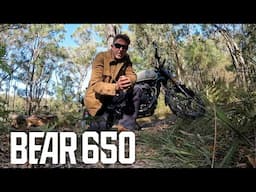 Royal Enfield Bear 650 Day 1 New bike first impressions.