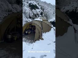 Winter wonderland camping in New Zealand.