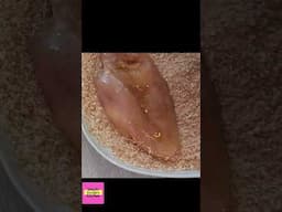 AIR FRYING CHICKEN BREAST : YOU WILL NEVER COOK CHICKEN IN THE OVEN AFTER WATCHING