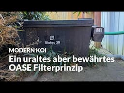 Ein knapp 30 Jahre alter OASE Biotec 30 | Modern Koi Blog #7349