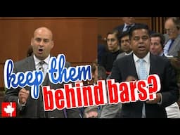 These Liberal laws put repeat criminals back into our communities