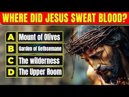 Top 25 Bible Questions to Test Your Knowledge - The Bible Quiz