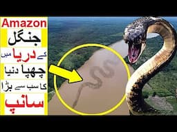 100 feet long Monster Snake of Amazon Jungle - Does it really Exist?
