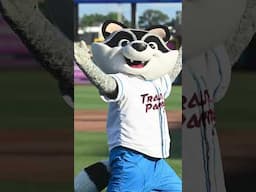 Who Has the Best Team Name in Minor League Baseball? #MiLB #MinorLeagueBaseball #Baseball #Sports