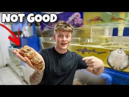 BUYING LOBSTERS For My POND At FOOD MARKET!! (Gone Horribly Wrong)