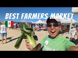 LA VENTANA FARMERS MARKET | Things to do in Baja California Sur Mexico
