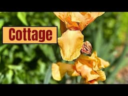 1780's New England Homestead Garden Tour