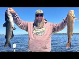 SECRET bait for CATFISH & Red Drum! Catch, Clean, Cook