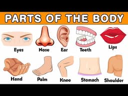Body parts Learning, Body Parts, Body Parts For Kids, Parts of body with Spellings, Body Parts Name.