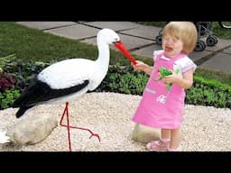 Hilarious Kids Fails Compilation 😂 Super Expensive Fails
