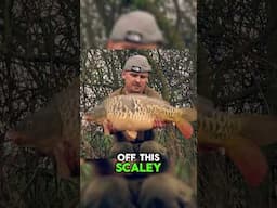 First fish of the social for Lewy!