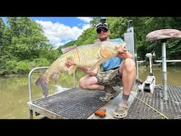 BIG FISH in Shallow Water - Daytime Bowfishing