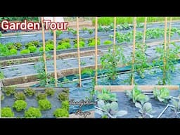 May Vegetable Garden Tour/Full Vegetable Garden Tour 2025.