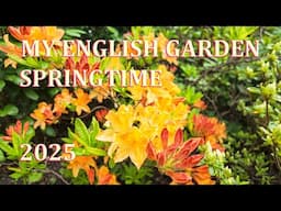 Springtime Tour - My English Garden  - April 2025