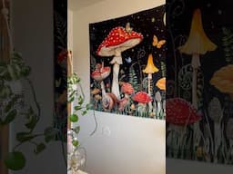 🍄 ✨A little piece of magic within my home 💫