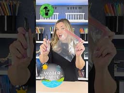 Easy Water Cycle Activity 🌧️ #science #scienceandfun