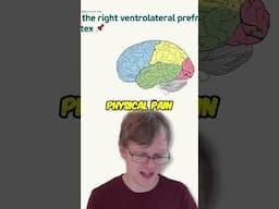 Is Stress Physical Pain?  Your Brain Says YES!