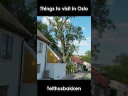Things to see in Oslo: Telthusbakken