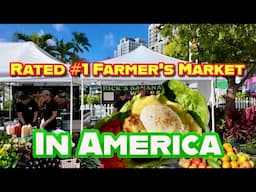 The BEST Farmer's Market In the USA | West Palm Beach Green Market