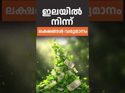 ഇലയിൽ നിന്ന് ലക്ഷങ്ങൾ വരുമാനം 🌿💸 #businessideas