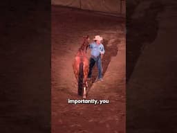YOU DON'T CONTROL THE HORSE, YOU CONTROL YOU