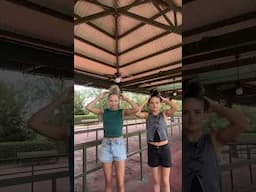 TikTok Disney draft