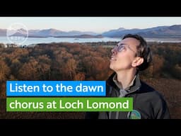 Listen to the Dawn Chorus at RSPB Scotland's Loch Lomond reserve