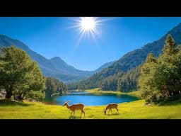 Healing Music to Calm the Mind and Relieve Nervous Disorders - Soothing Music 🍀