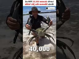 Low Investment Crab Farming on Terrace! #shorts #crabfarming #terracecrabfarming