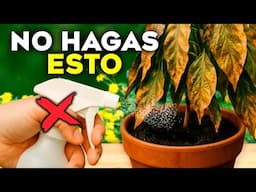 ¡DEJA de HACER ESTO! ❌ El ERROR FATAL que MATA tus PLANTAS (y cómo EVITARLO)