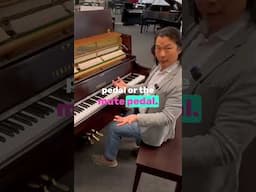 What do the pedals on an upright piano do? 🤔🎹 #shorts
