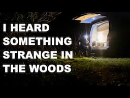 VAN CAMPING NEAR CREEPY WOODS VANLIFE DOESN'T GO TO PLAN VOLKSWAGEN 188