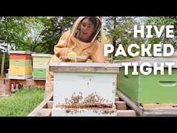 No Space Left! Handling an Overcrowded Beehive
