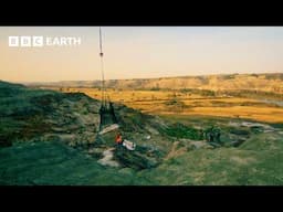 How Do You Move A 200kg Dinosaur Fossil? | Walking with Dinosaurs | BBC Earth Explore