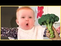 Funny Baby Loves Food: Baby Eating Compilation || 5-Minute Fails