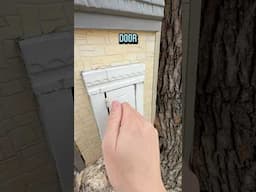 Knock, Knock! Are You There Geocache? #geocaching #littlefreelibrary