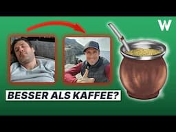 Mate-Tee: Erstaunliche Wirkungen auf deinen Körper | Unterschied zu Energydrinks und Kaffee